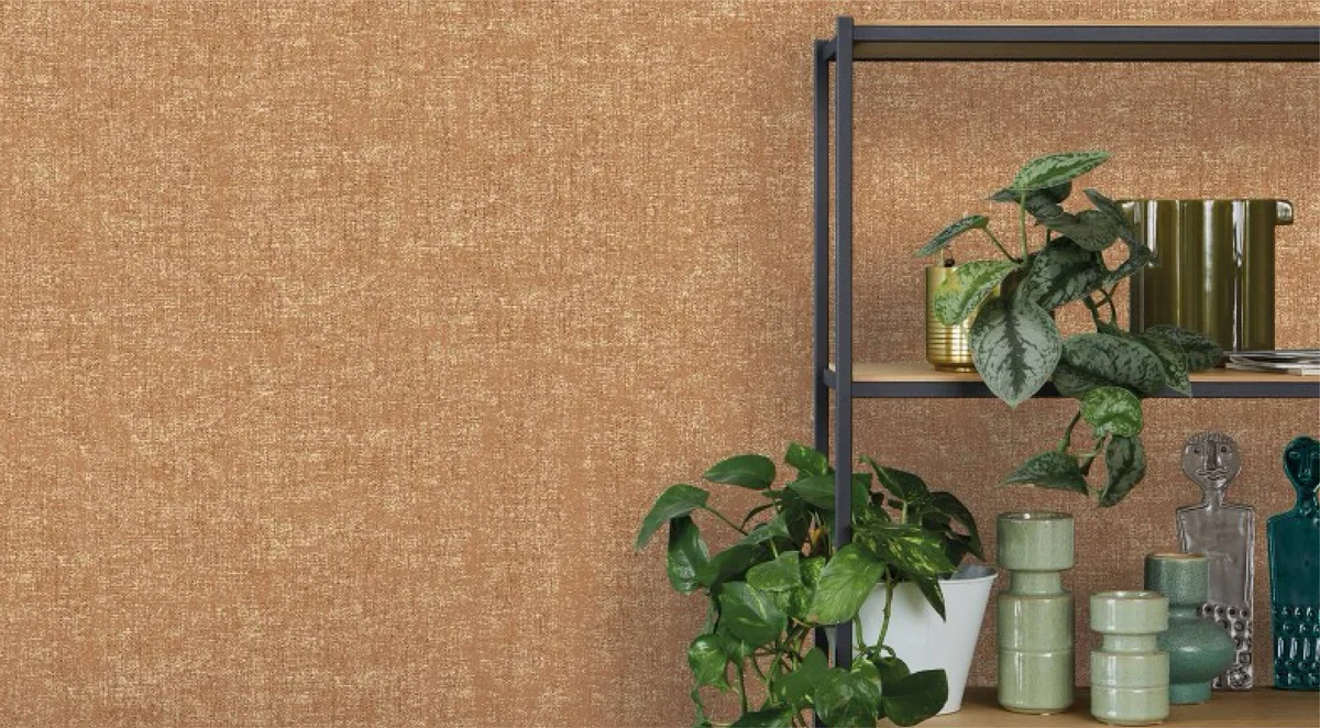 Room 4 New Spirit 1132708